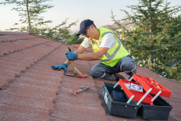 Best Metal Roofing Contractor  in Bangor, WI